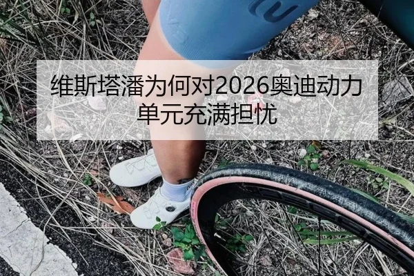 维斯塔潘为何对2026奥迪动力单元充满担忧