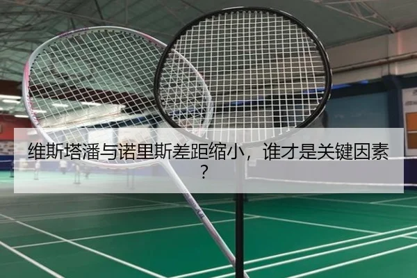 维斯塔潘与诺里斯差距缩小，谁才是关键因素？（www.hth.com）
