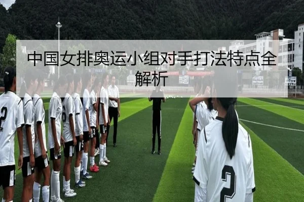 中国女排奥运小组对手打法特点全解析